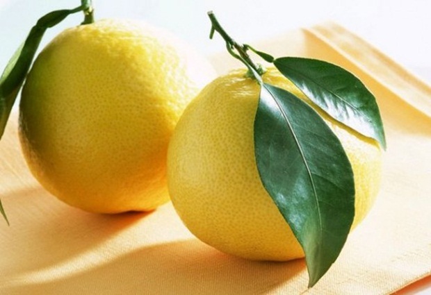 Limun1-575x394