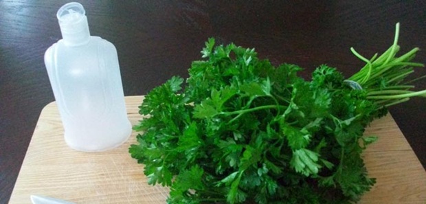 parsley-008