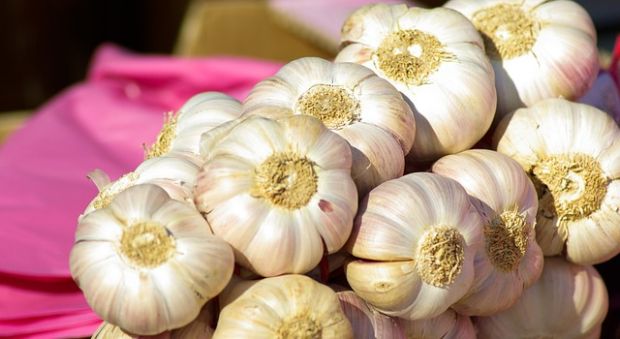 bijeli-luk-pixabay